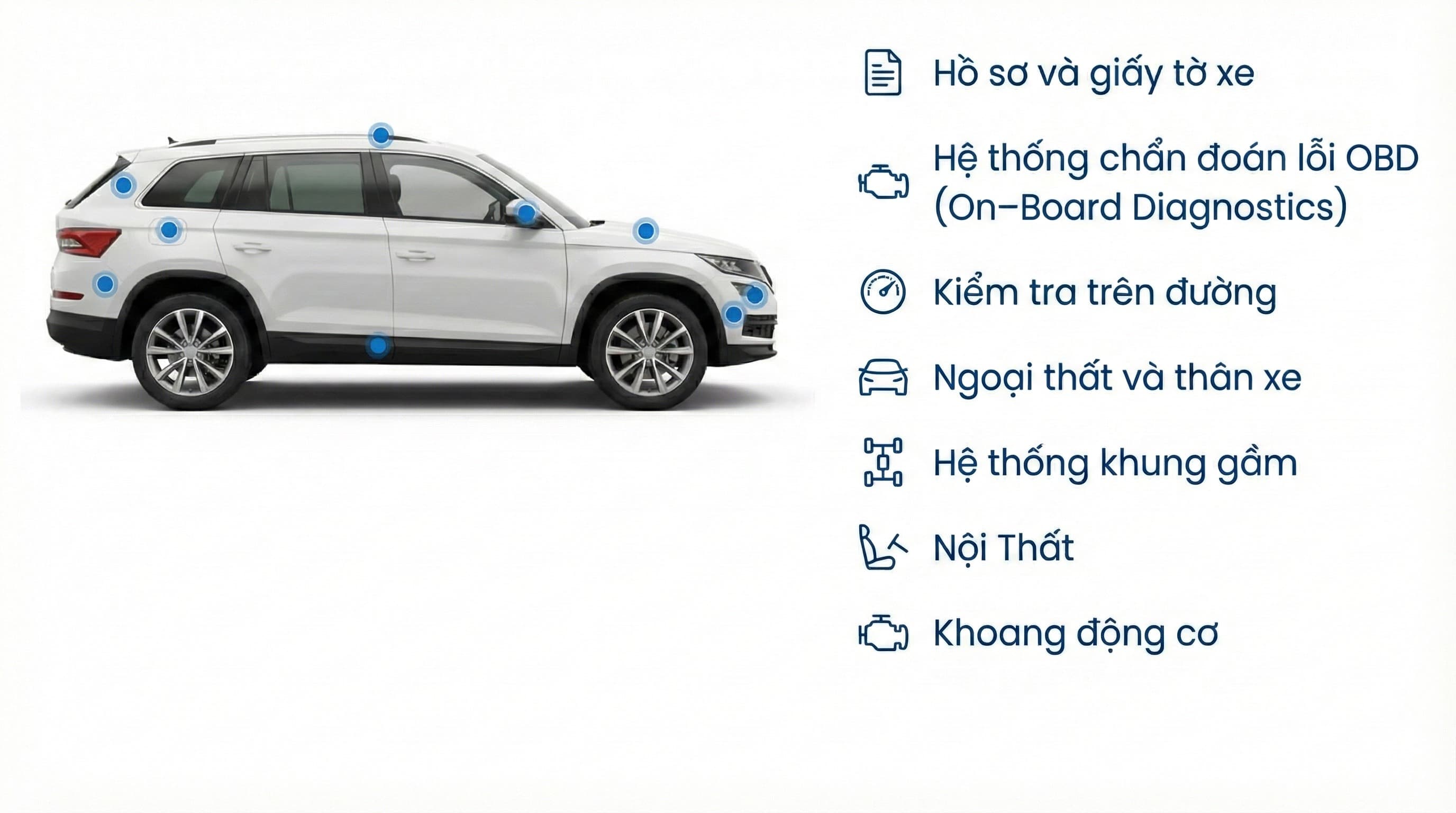 Biểu đồ kiểm định 223 điểm của Vucar